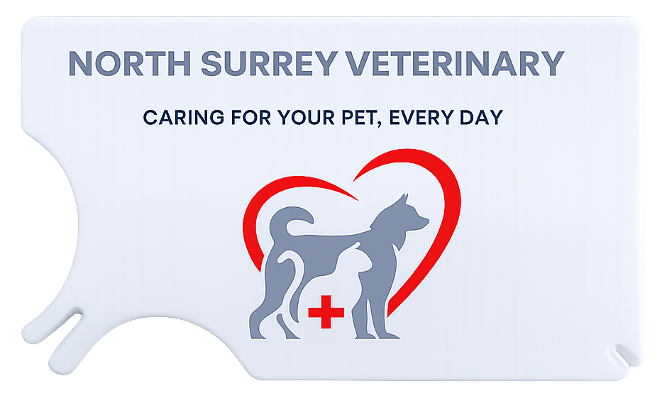 Carte vétérinaire - Paquet de 2500